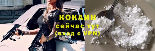 jwh Карпинск