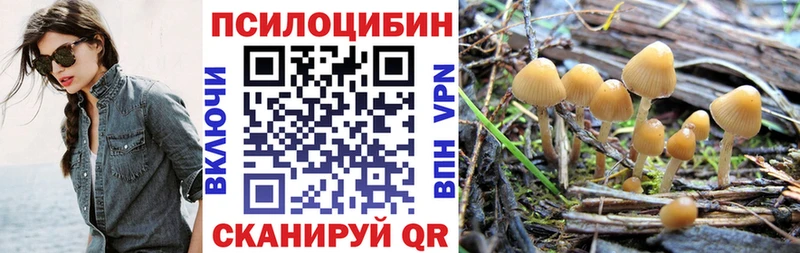 Псилоцибиновые грибы Magic Shrooms  Купить  Сланцы 