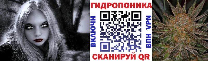 Купить где  Сланцы  Каннабис марихуана 